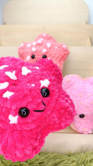 Chonky Etoile de mer 18€