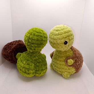 Cheeky Turtles 20€