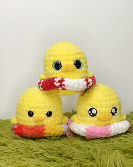 Poussins bouées 20€