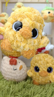 Grosses poules & poussins 14€